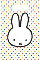 Haza Witbaard Nijntje uitdeelzakjes, 6st. - thumbnail