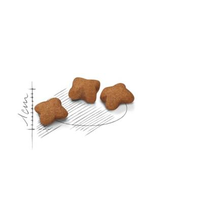 Royal Canin sterilised voer voor kitten 400gr