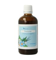 Balancepharma Thymus vulgaris tincturen 100 Milliliter - thumbnail