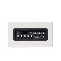 Mooer Hornet 15i White 15 Watt modeling gitaarversterker - thumbnail