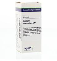 Conium maculatum LM6 - thumbnail