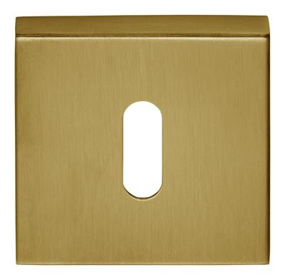Formani Basics BSQBN53 sleutelplaatje vierkant - PVD mat goud