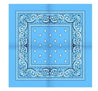 Boerenzakdoek Rain drop 54x54 - Rode zakdoek - 54 - Blauw - 54 - 54 - 54 - 54 - 54 - thumbnail