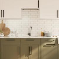 Handvatten 20 st 224 mm roestvrij staal zwart - thumbnail