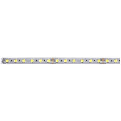 Paulmann MaxLED 70566 LED-strip uitbreidingsset Met connector (male) 24 V 1 m Warmwit, Neutraalwit, Daglichtwit 1 stuk(s) Paulmann MaxLED 70566 LED-strip uitbreidingsset Met connector (male) 24 V 1 m Warmwit, Neutraalwit, Daglichtwit 1 stuk(s)