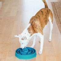 VOERBAK SLO-BOWL FEEDER DROP TEAL LICHTBLAUW 29X29X7 CM - thumbnail