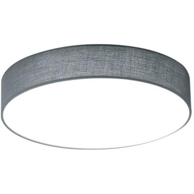 Dimbare LED Plafondlamp Rond 22W Warm Wit 3000K Mat Grijs Aluminium