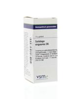 VSM Solidago virgaurea D6 10 Gram - thumbnail