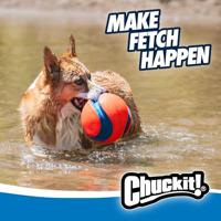 CHUCKIT KICK FETCH - thumbnail