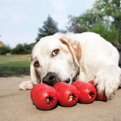 KONG Goodie Ribbon voor middelgrote honden