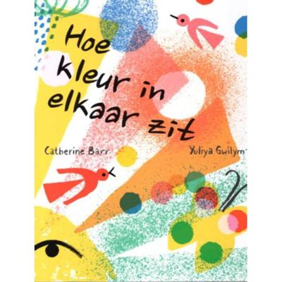 Hoe kleur in elkaar zit (Hardback)