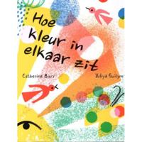Hoe kleur in elkaar zit (Hardback) - thumbnail