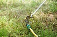 Meister Impulssproeier Met Pin Messing - FLOR89575 - thumbnail