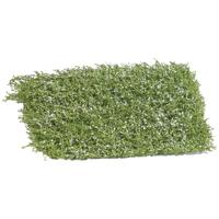 Busch 3595 Heester Bloeiend 35 mm Wit - thumbnail