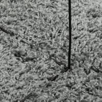 Vloerkleed PAMPLONA shaggy hoogpolig modern Ø 120 cm groen - thumbnail