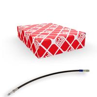 remslang 170207 - thumbnail