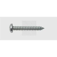 SWG 19111024010 Plaatschroeven 4.8 mm 19 mm Kruiskop Phillips DIN 7981 Staal Verzinkt 100 stuk(s) - thumbnail