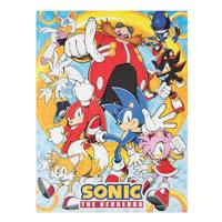 Sonic the Hedgehog - Characters Puzzle (500pc) - thumbnail
