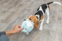 Trixie Pluche Beer Mintgroen Voor Puppy 14 CM - thumbnail