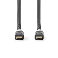 USB-Kabel | USB 3.2 Gen 2x2 | USB Type-C Male | USB Type-C Male | 20 Gbps | 100 W | Verguld | 2.00 m | Rond | PVC | Zilver | Window Box - thumbnail