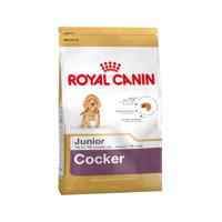 Royal Canin 6656509 C-08941 S.H. Nut Cocker Junior - 3 kg,cranberry - thumbnail