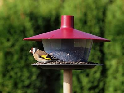 Finch Vogelvoederhuis - rood - thumbnail