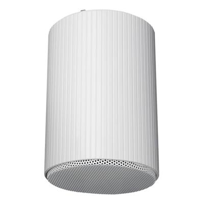 DAP HS-510M Hangende 100V luidspreker 10W 5 inch