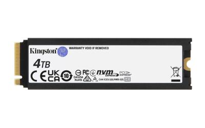 Kingston Technology 4000G RENEGADE PCIe 4.0 NVMe SSD MET HEATSINK