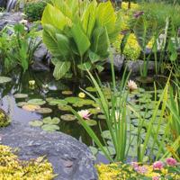 Velda CO2 tabs voor zuurstofplanten - thumbnail