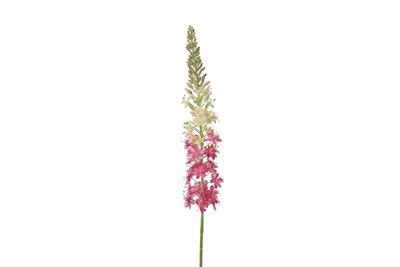 Eremurus kunststof 5x6x105 cm roze Countryfield - Countryfield