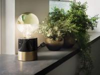 Paulmann 28678 LED-lamp Energielabel F (A - G) E27 Globe 6.5 W = 48 W Warmwit (Ø x h) 125 mm x 174 mm 1 stuk(s) - thumbnail