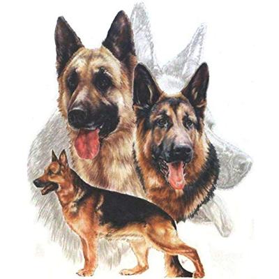 Icotek KEL-DPF 50/22-36 Montagegat: M50 Klem-Ø (max.): 36 mm Polyamide, Elastomeer Grijs 1 stuk(s)