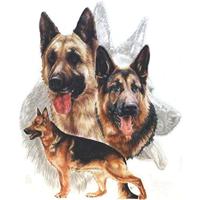 Icotek KEL-DPF 50/22-36 Montagegat: M50 Klem-Ø (max.): 36 mm Polyamide, Elastomeer Grijs 1 stuk(s) - thumbnail