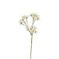 Zephyr Lely Kunsttak 45cm Creme - thumbnail