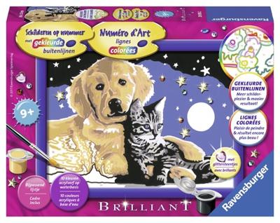 Ravensburger Schilderen op Nummer schitterende sterrenhemel