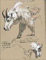 Faber Castell Kalligrafiepen Pitt - C 101 wit - thumbnail