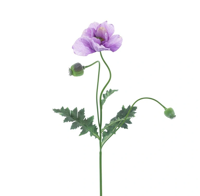 Poppy spray Casper lavender 93 cm kunstbloem Erutan Avon - Erutan avon - thumbnail