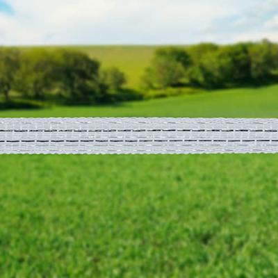 Gallagher PowerLine lint 12,5mm wit 100m - 062303 062303 - thumbnail