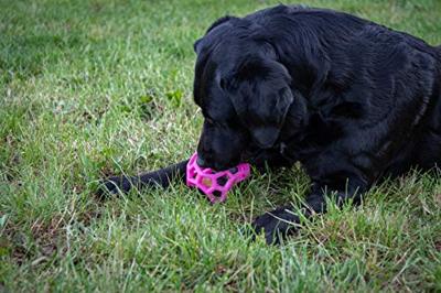 Dog Comets Moonstone Traktatiekubus roze