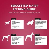 DR JOHN Silver Beef - droog hondenvoer - 15kg - thumbnail