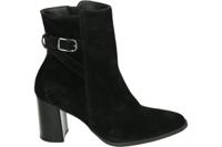 Paul Green 8147 - alle - thumbnail