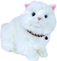 Kattenhalsband elastisch zwart/roze Kitten-en-kattenhalsbanden Gebr. de Boon - Gebr de boon - thumbnail