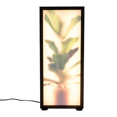 Zuiver Vloerlamp 'Grow' Vioolbladplant, 60cm Zuiver Vloerlamp 'Grow' Vioolbladplant, 60cm