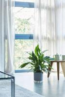 Onderzetter Floorprotector d18cm Transparant - thumbnail