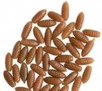 Behr Imitatie Casters - thumbnail