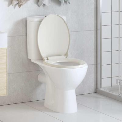 Toiletbril soft-close ovaal lichtgrijs