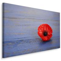 Schilderij - Klaproos op blauw hout (print op canvas), premium print - thumbnail