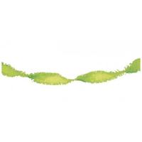 Crepe Papier Slinger Lime Groen - 24 meter - thumbnail