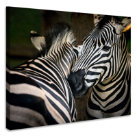 Schilderij - Zebra&apos;s , premium print, 3 maten - thumbnail