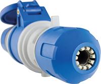 AS Schwabe powerlight CEE Stecker 61486 CEE-stekker 3-polig 230 V 1 stuk(s) - thumbnail